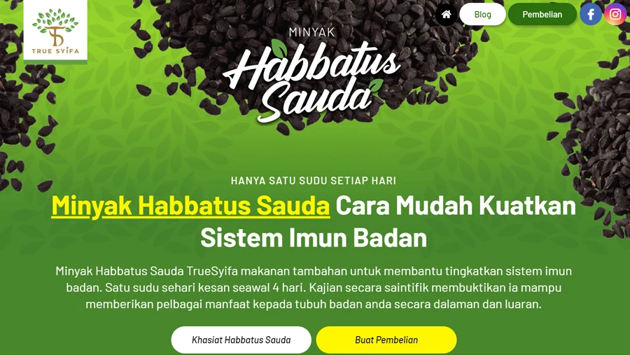 True Syifa Landing Page Website Design Malaysia
